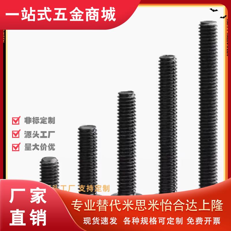 CBSA/CBSS2.5/3/4/5/6-4/5/6/8/10/12/16/20内六角超短头螺栓