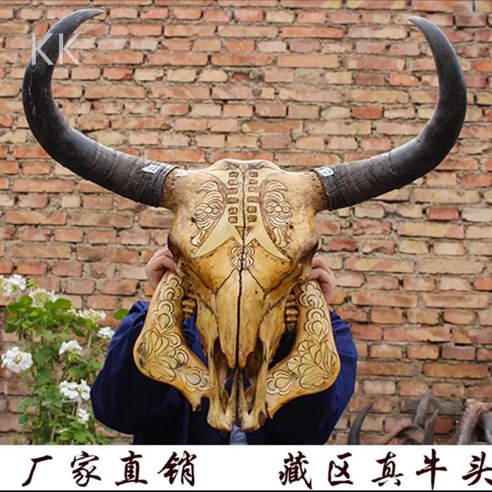 f牦牛头骨装饰品 真牛头骨艺工品 牛头壁挂客厅个性纹身店墙壁装