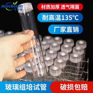 茉钡特高硼硅玻璃组培试管耐高温135 培养管带透气盖初代培养瓶