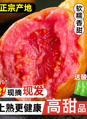 正宗产地 红心芭乐水果新鲜包邮低糖软糯鸡屎果巴乐胭脂红番石榴