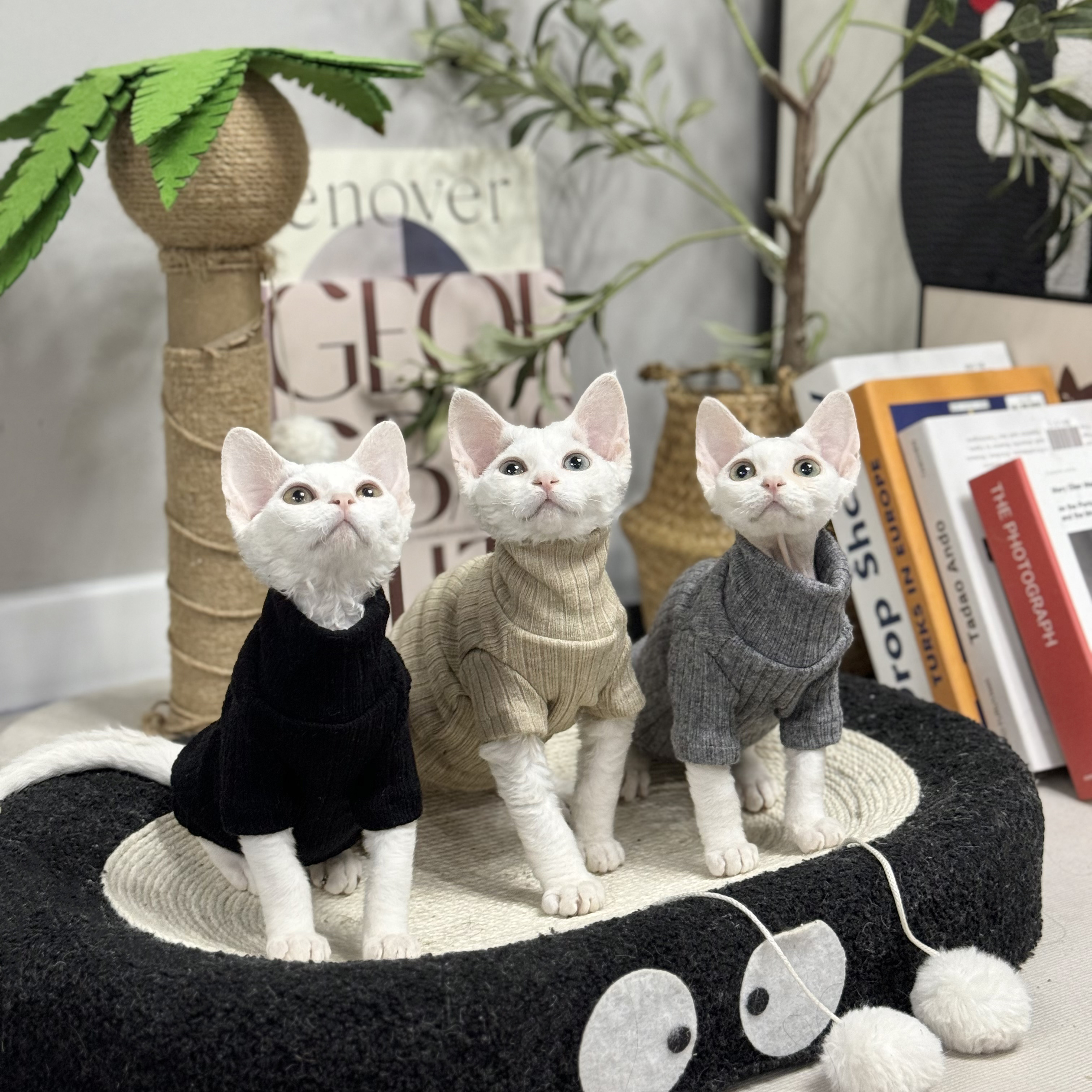 羊绒衫冬季保暖高领内搭无毛猫