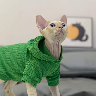 斯芬克斯衣橱无毛猫衣服