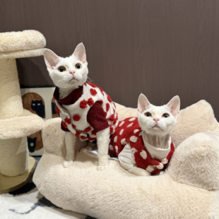 德文猫衣服马甲棉内衬羊羔绒柔软新年可爱提花浮雕工艺无毛猫衣服