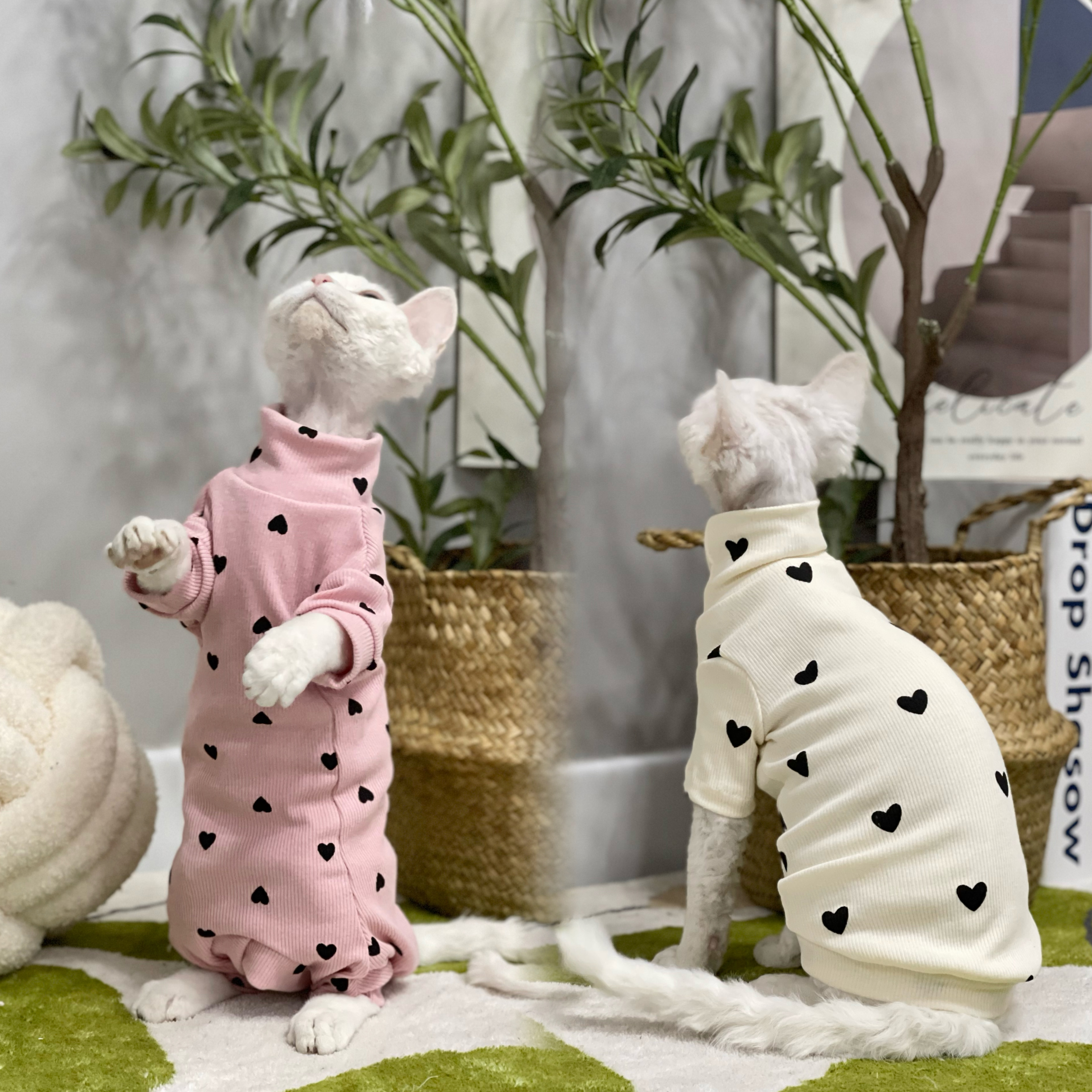 无毛猫衣服纯棉四脚春秋空调房