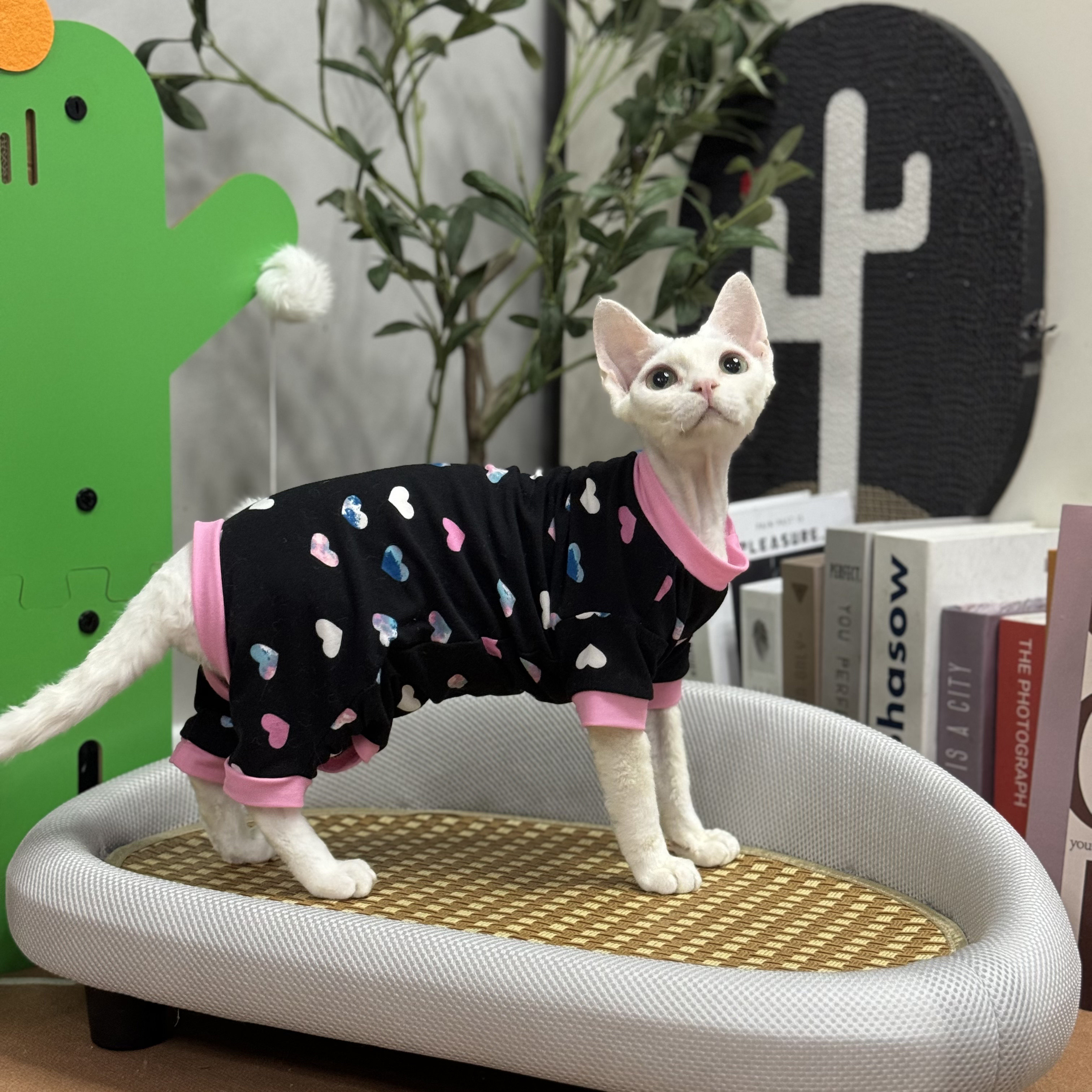 无毛猫衣服夏季薄四脚背心吊带图片