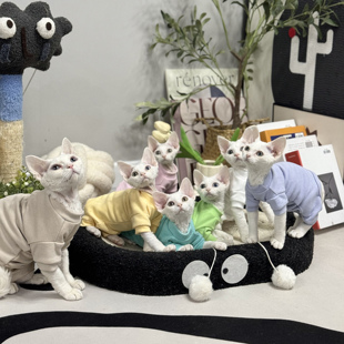 无毛猫衣服冬季四脚打底德绒阳离子发热手感柔软斯芬克斯猫衣服