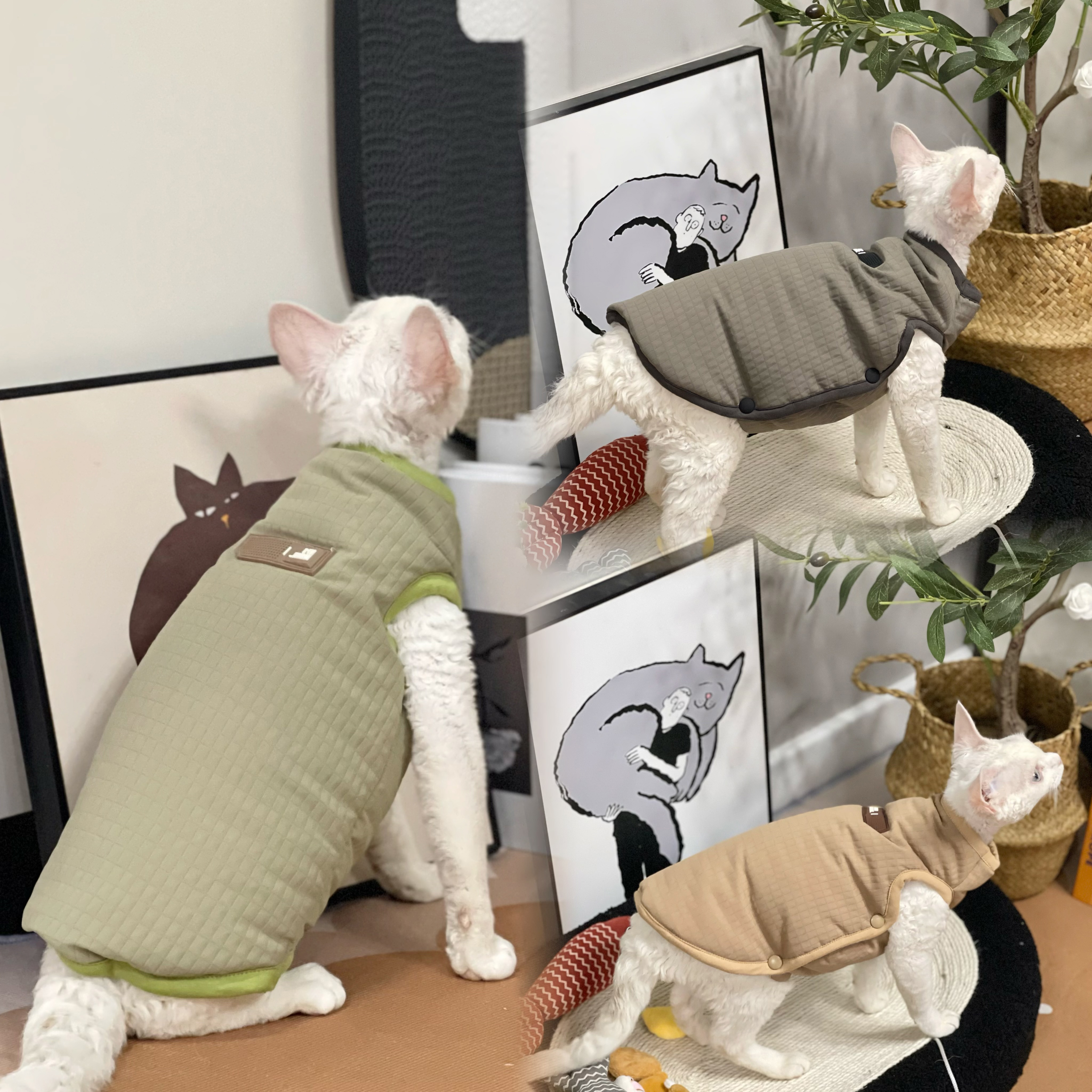 无毛猫衣服冬加厚马甲背心加棉侧暗扣方便穿脱保暖纯棉德文猫衣服