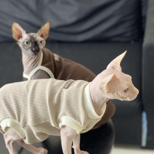 斯芬克斯衣橱猫衣服春秋纯棉