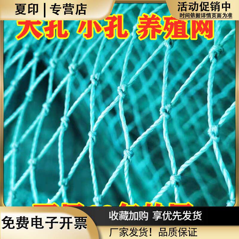 养殖网孔雀网养鸡网山鸡网爬藤网菜园网围栏网防护网鸽子网尼龙网