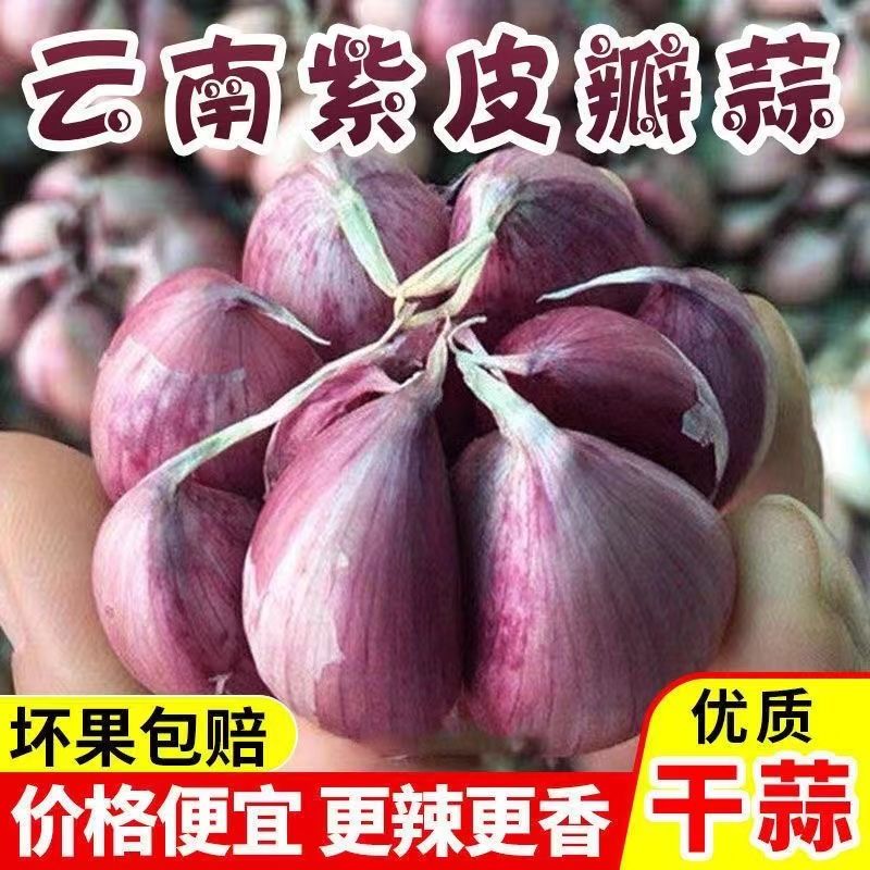 2025云南大理紫皮新干蒜