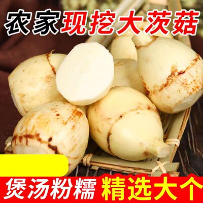 湖北农家现挖白茨菇燕尾菇马蹄慈姑茨菰五斤应季火锅生鲜产地包邮