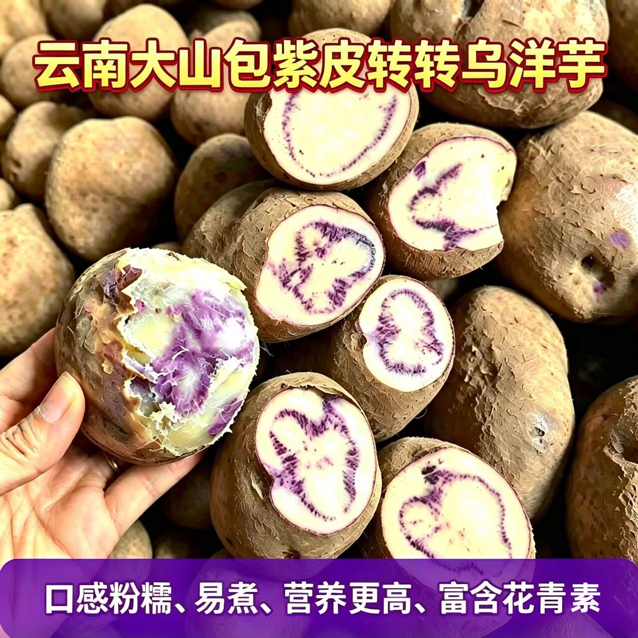 大山包小黑土豆昭通新鲜紫皮乌洋芋土豆马铃薯口感粉糯转转乌洋芋
