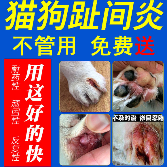 狗狗脚趾炎价格 狗狗脚趾炎图片 星期三 狗狗脚趾炎价格 狗狗脚趾炎图片 星期三