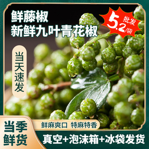 青花椒新鲜藤椒青花椒鲜花椒重庆江津青花椒生麻椒鱼四川特产商用