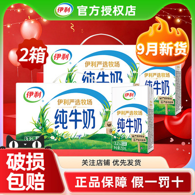 2箱9月伊利纯牛奶250ml*24盒整箱早餐儿童全脂牛奶官方正品旗舰店