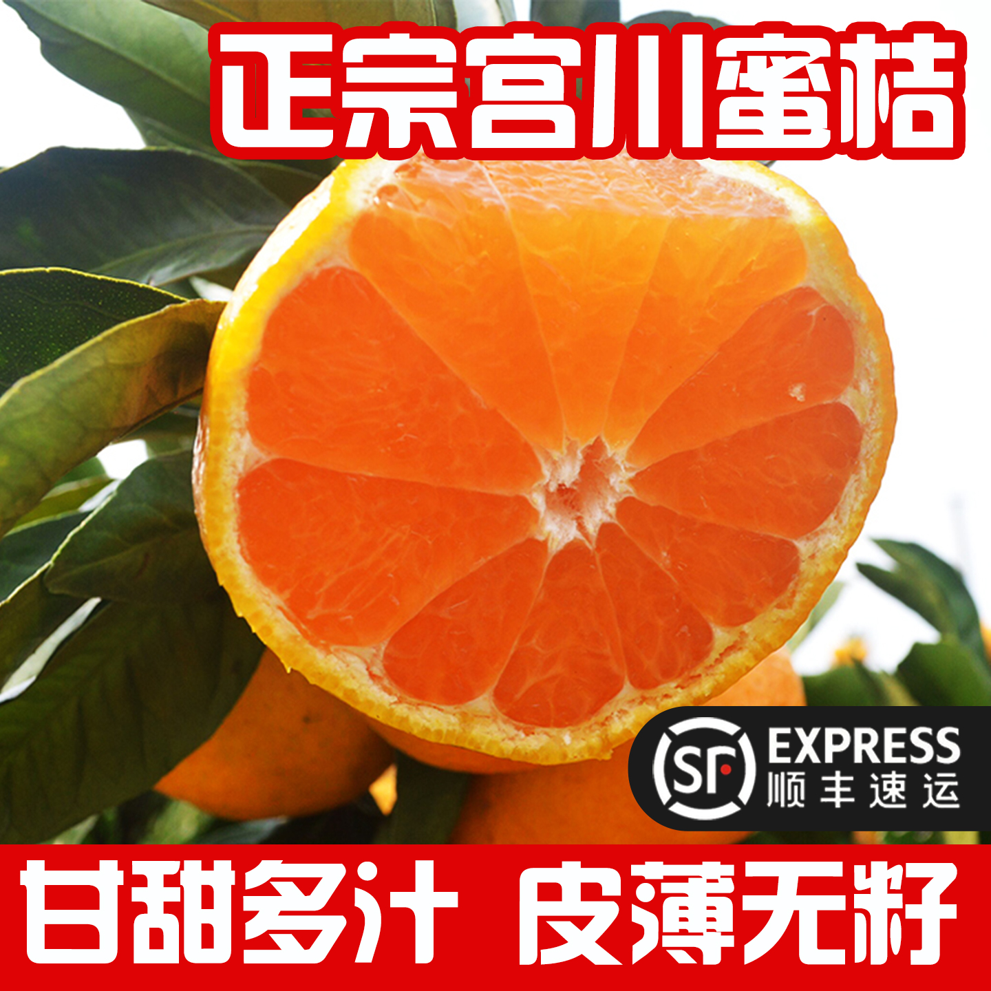 正宗浙江宁波宫川蜜桔宁海橘子新鲜桔子孕妇水果特产柑橘无核蜜橘