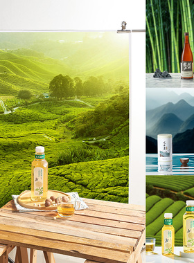 大尺寸森林背景布3D效果摄影道具场景搭建装饰静物产品直播拍摄化妆品电商拍照装饰道具氛围感绿色小物件陈列