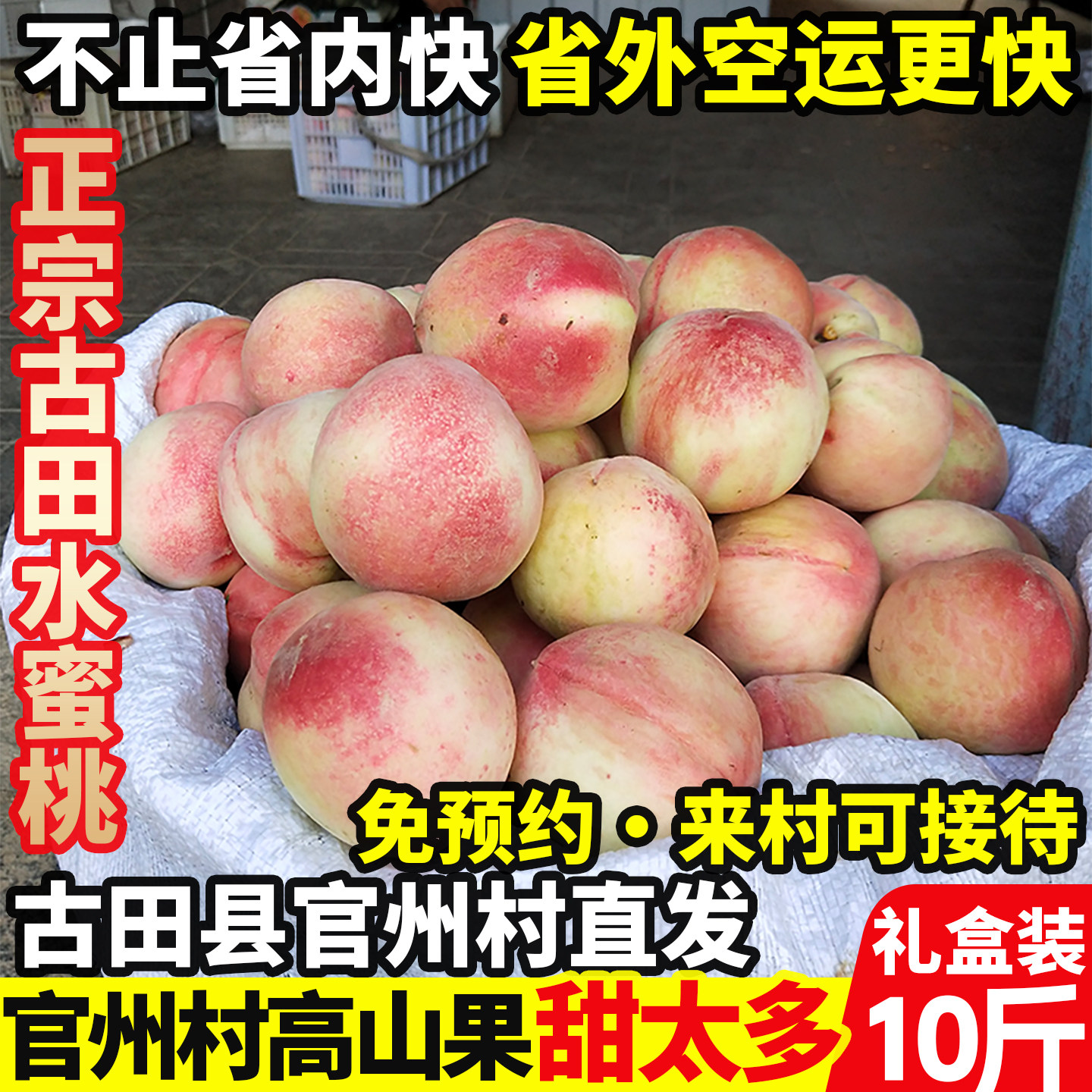 正宗古田白凤水蜜桃新鲜甜脆桃福建大桃子当季礼盒装！官州村直发