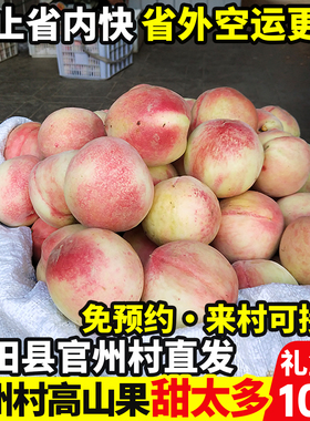 正宗古田白凤水蜜桃新鲜甜脆桃福建大桃子当季礼盒装！官州村直发