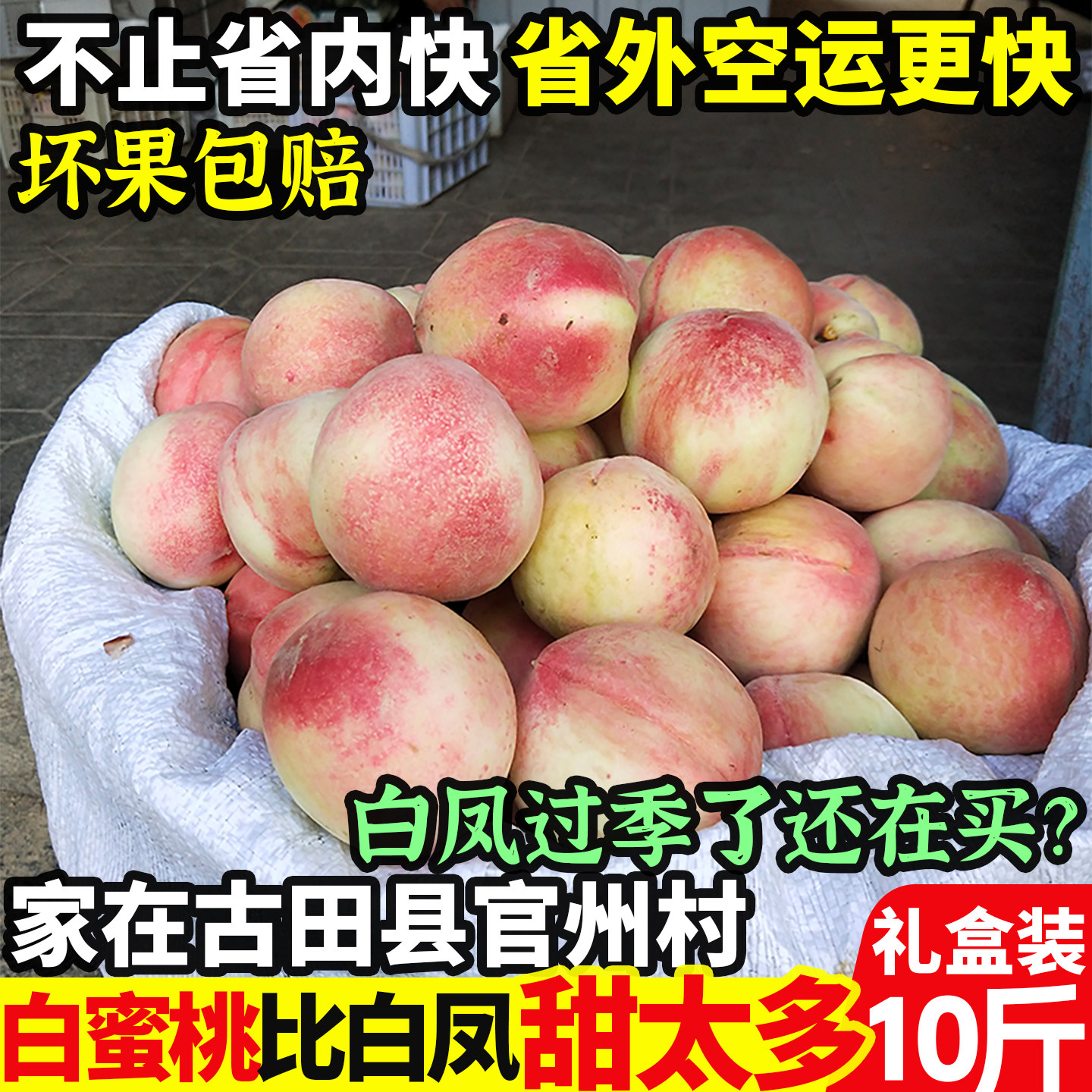 正宗古田水蜜桃白蜜新鲜甜脆桃福建大桃子当季礼盒装！官州村直发