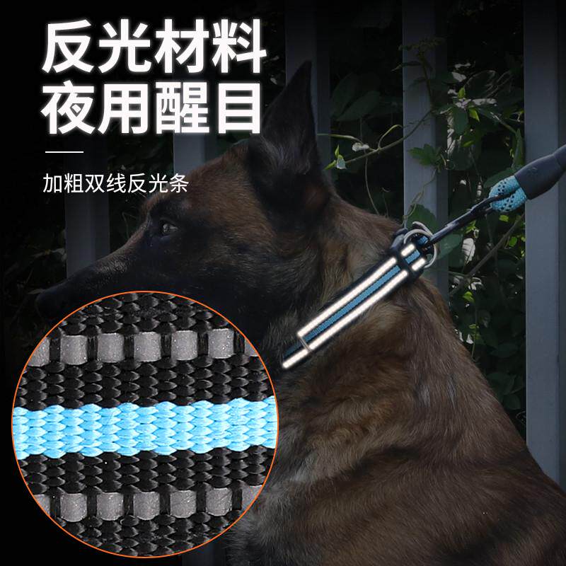 狗狗牵引绳项圈中大型犬柯基金毛外出遛狗绳子幼犬小型犬泰迪狗链