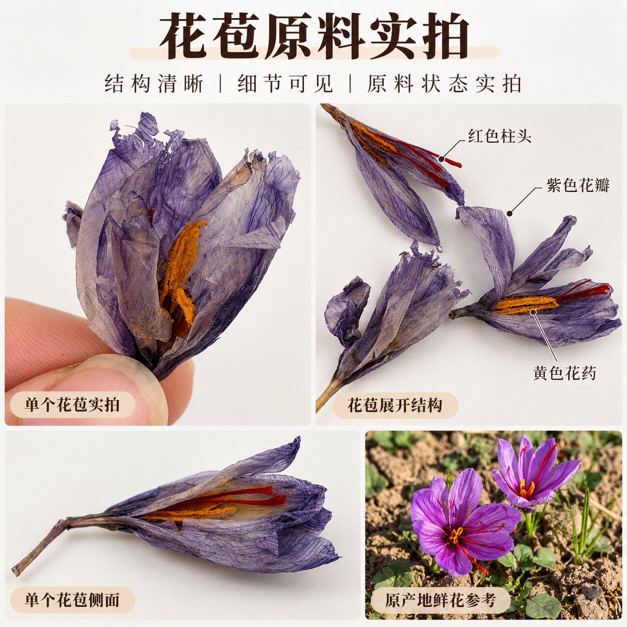 藏红花花苞干花 西红花整朵花苞花茶原料 礼盒套装支持