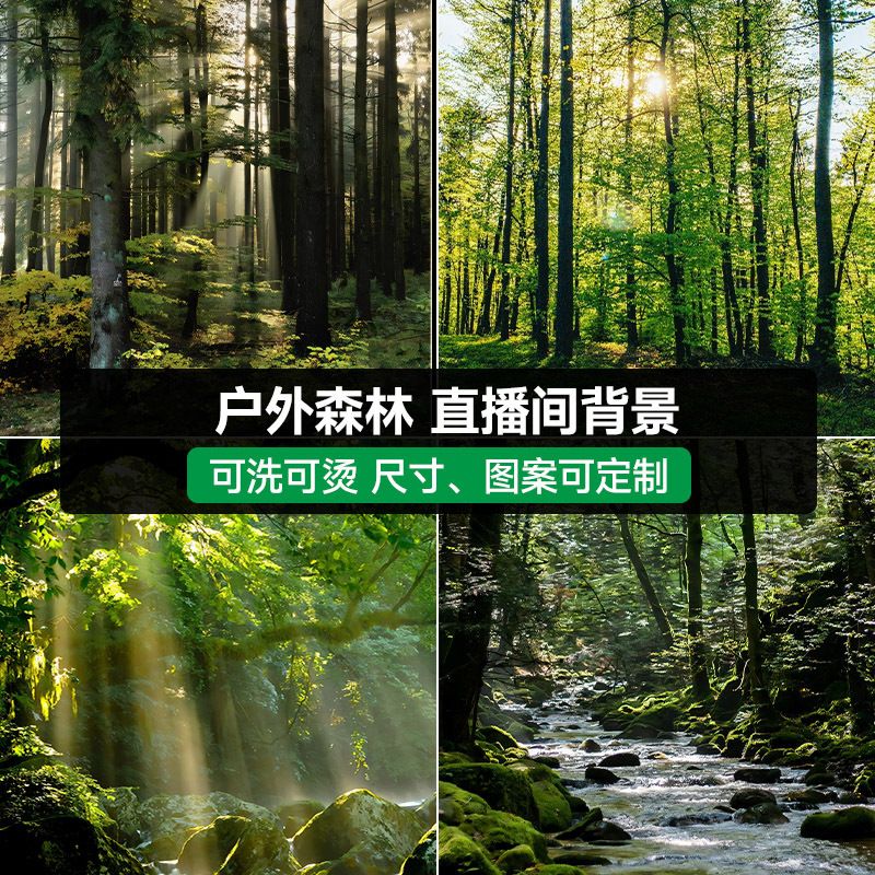户外森林山林野外3D直播背景布直播间高级感背景墙立体壁纸网红主