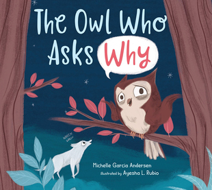 Owl Why 进口英文原版 绘本 问为什么 亲子睡前故事精装 儿童英语启蒙阅读故事书 The 猫头鹰 Asks 现货 Who