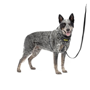 美国代购PetSafe Easy Walk Comfort Dog Harness 舒适狗牵引绳