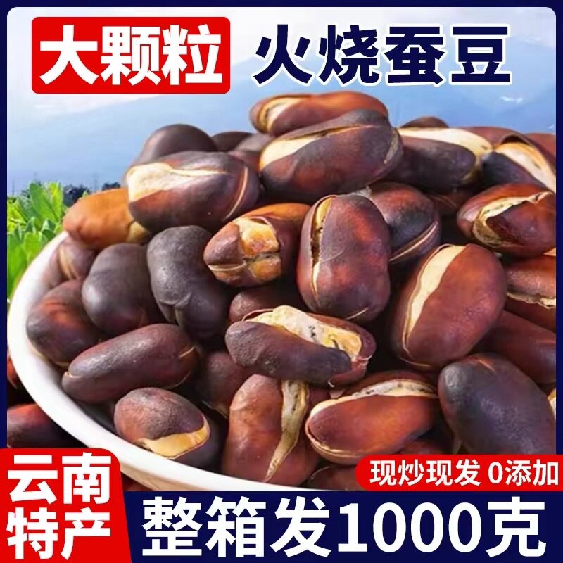 云南保山绿心蚕豆新货火烧蚕豆