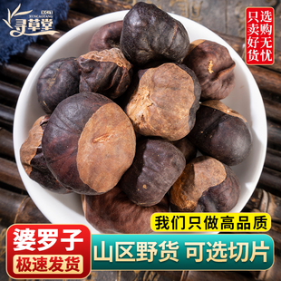 娑罗子中药材500克 婆罗子片梭罗子 梭罗果 仙栗新货