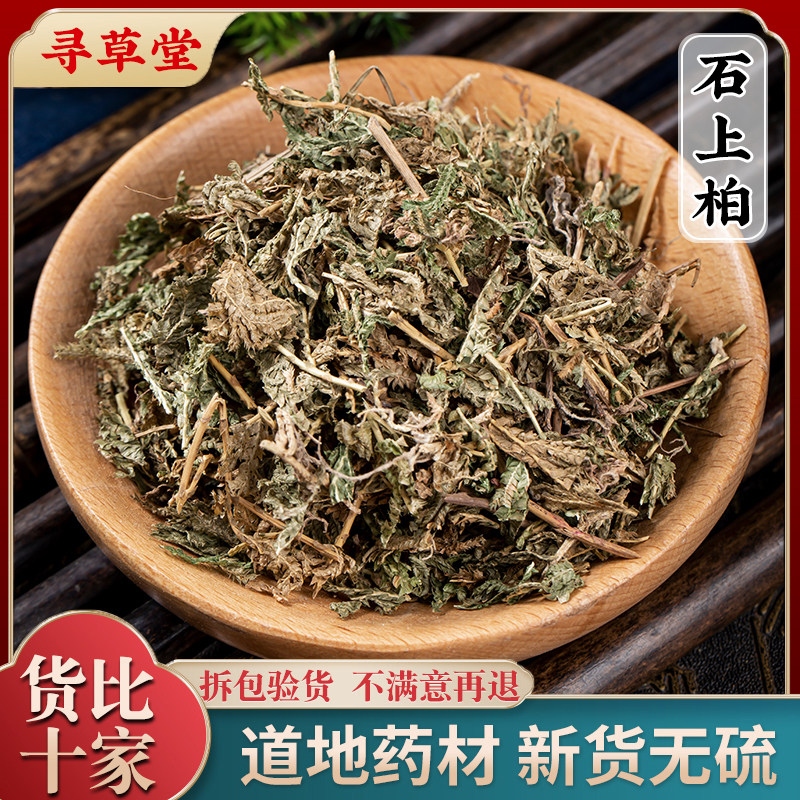 野生石上柏500g克中药材石上柏中草药石柏新鲜干货地柏草地侧柏叶,传统滋补营养品,其他药食同源食品,淘宝优惠券,粉丝福利购,淘宝优惠卷