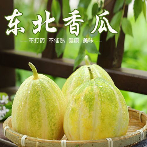 东北香瓜甜瓜白糖罐金妃脆甜多汁新鲜当季现摘水果自然熟包邮