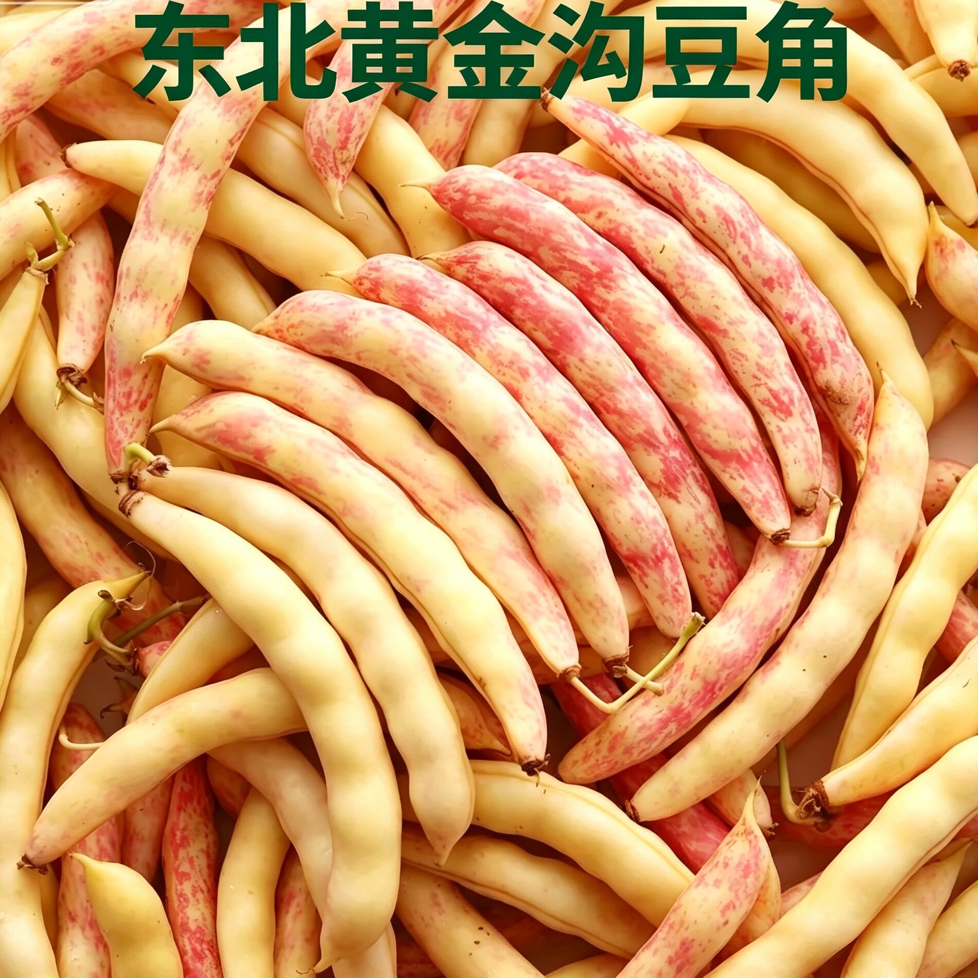 东北黄金钩豆角新鲜沟黄八月忙黄金勾产地新鲜采摘勾勾黄鼓豆面豆
