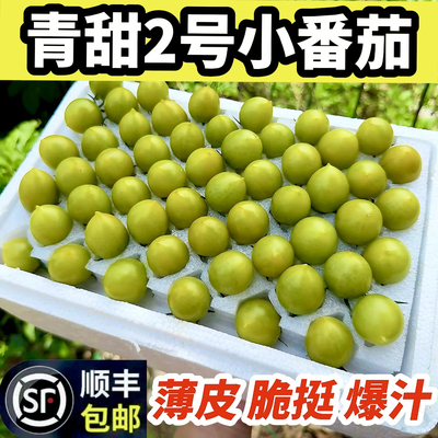 青甜二号小番茄新鲜现摘青口蜜小番茄青2号圣女果千禧小柿子顺丰