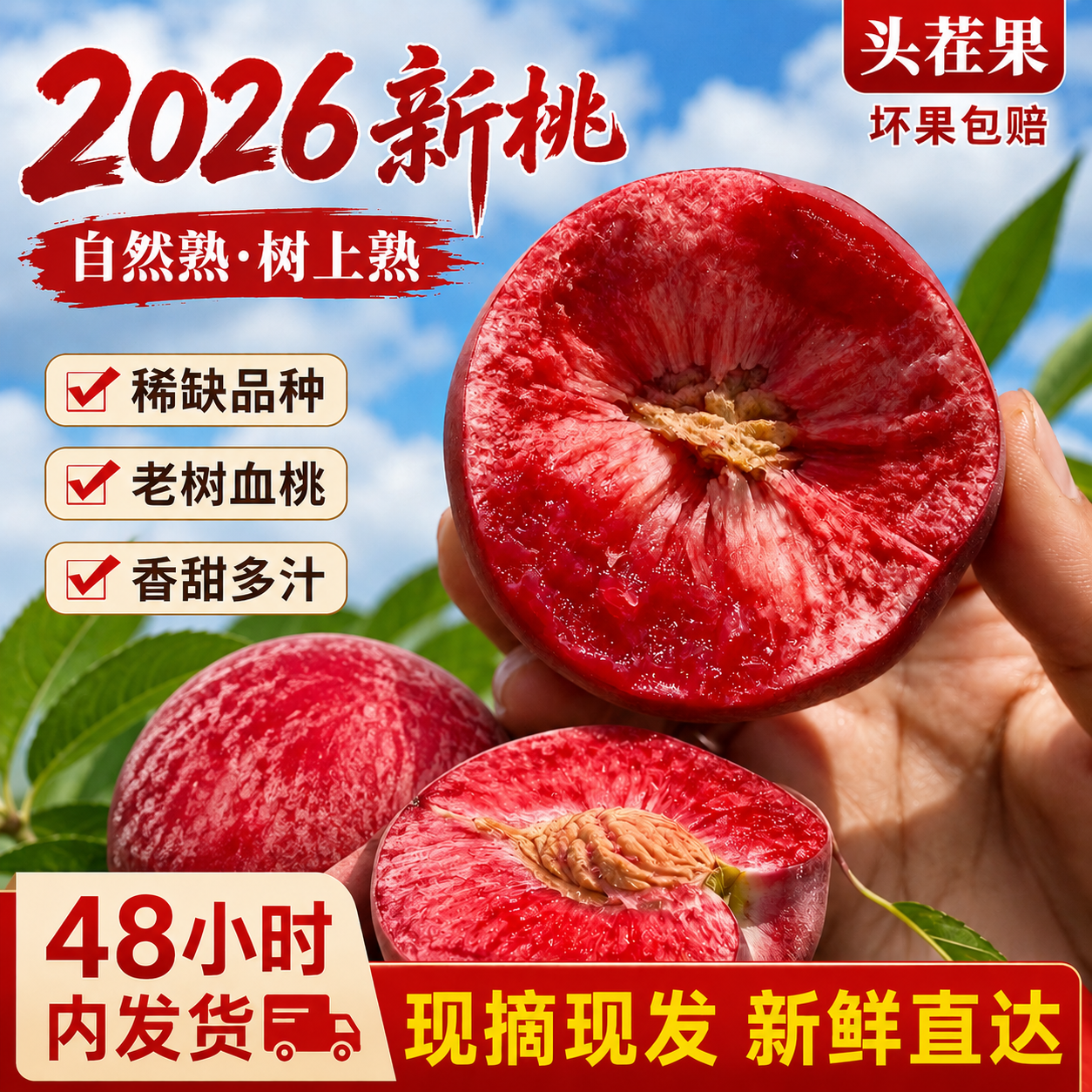 河南南阳五月鲜桃 南阳一掰两半桃子 现摘现发南阳五月仙桃血桃