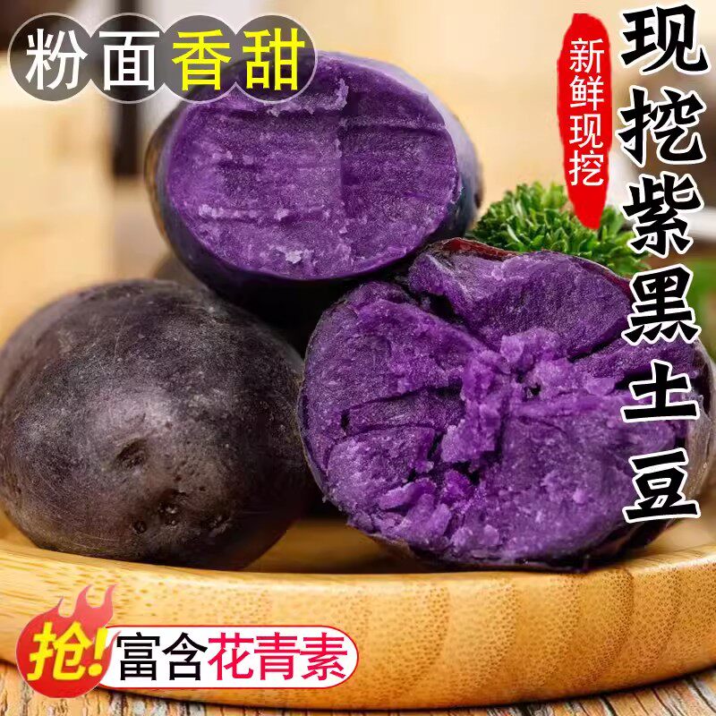 紫土豆黑土豆黑金刚新鲜紫色洋芋马铃薯黑美人迷你小土豆蔬菜