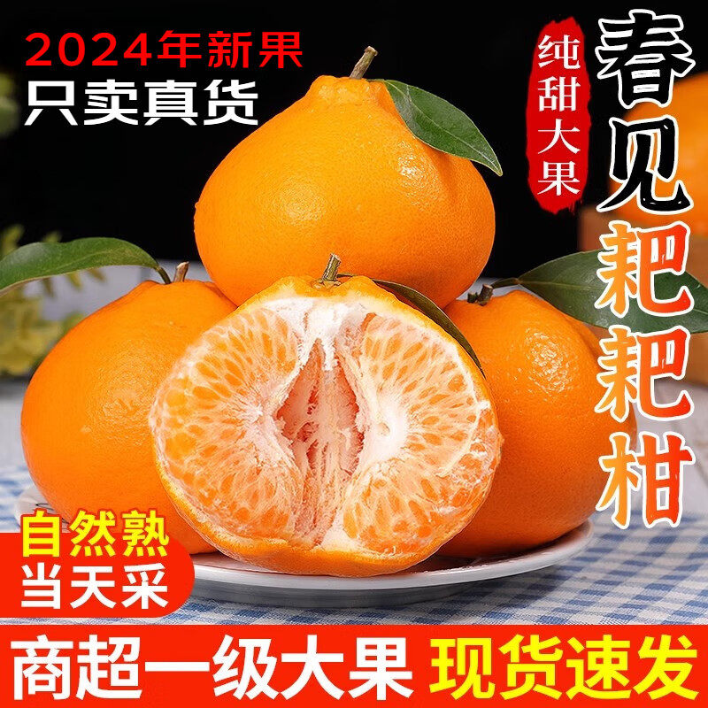四川春见耙耙柑5斤正宗粑粑柑杷杷橘子当季整箱新鲜水果特丑桔级8,水产肉类/新鲜蔬果/熟食,桔子,淘宝优惠券,粉丝福利购,淘宝优惠卷