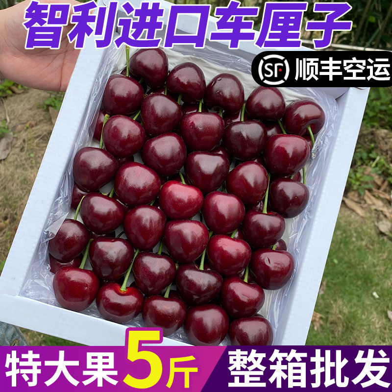 智利车厘子5斤新鲜水果当季整箱包邮孕妇进口应当季樱桃顺丰包邮3