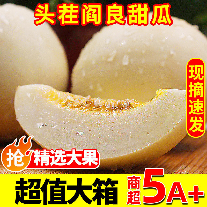 陕西正宗阎良甜瓜5斤新鲜水果当季整箱包邮蜜瓜小白瓜蜜香瓜羊角3
