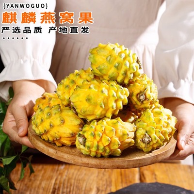 海南燕窝果麒麟果新鲜现摘