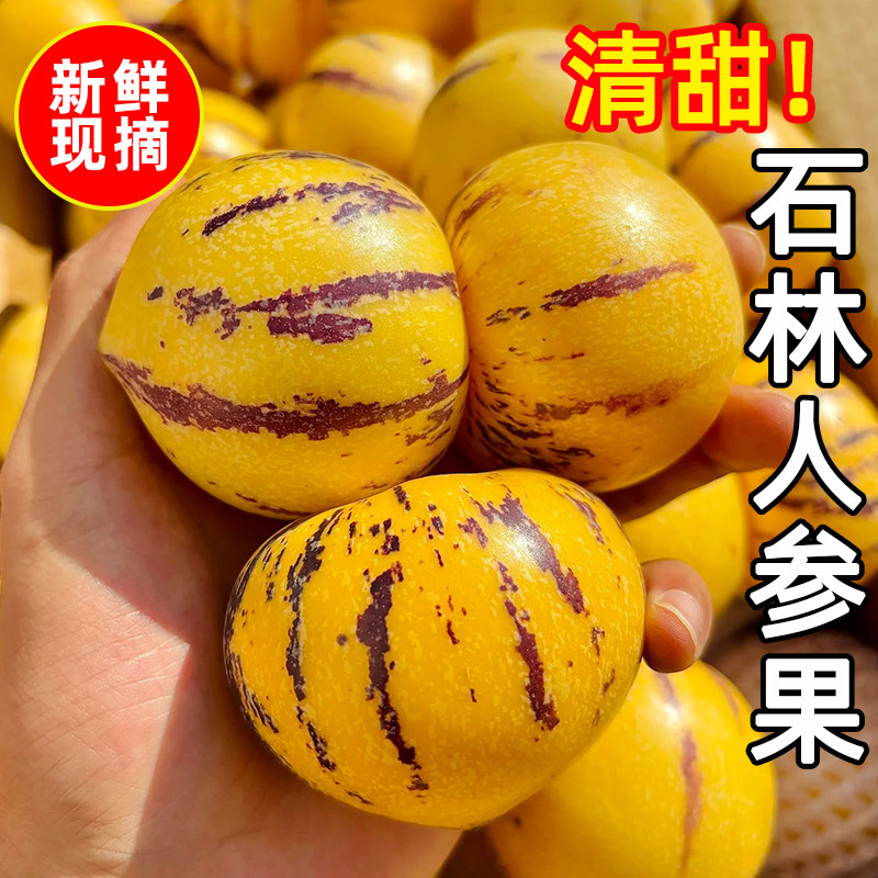 人参果新鲜水果云南石林黄心圆果树上熟七彩人叁果应当季整箱包邮