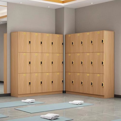 更衣室更衣柜支持定制尺寸颜色