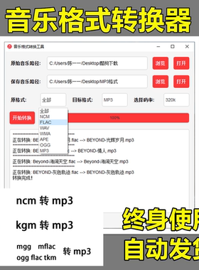 音乐视频格式ncm flac wma ape m4a wav ogg 转mp3转换器电脑软件