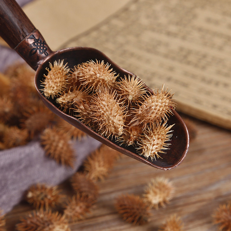 2 pounds Xanthium Chinese herbal medicines Barbed Cocklebur seed Snivel Stuffy nose Cocklebur Foot bath Flood damage 1000gin the Traditional nourishing food , Medicinal and Edible Food , Other Medicinal and Edible Food  category - from Buy2taobao.com to provide professional Taobao agent buy service