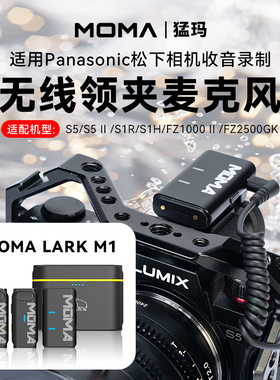 无线领夹麦克风适用松下S5单反SIR SIHFZ1000相机拍摄降噪麦