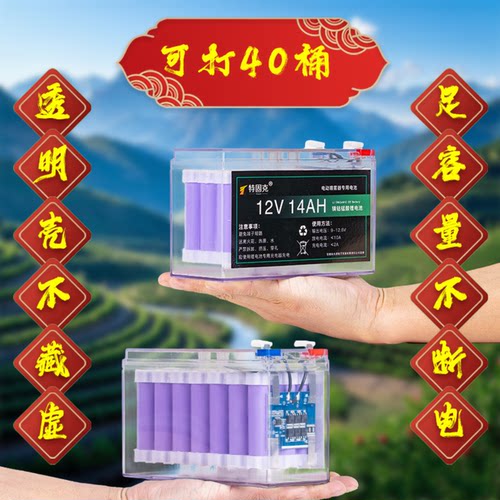 聚安时/特固克12v大容量锂电池