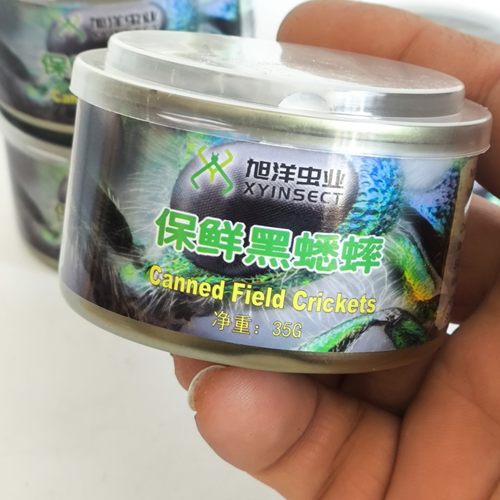 异宠食粮新鲜生态昆虫35克