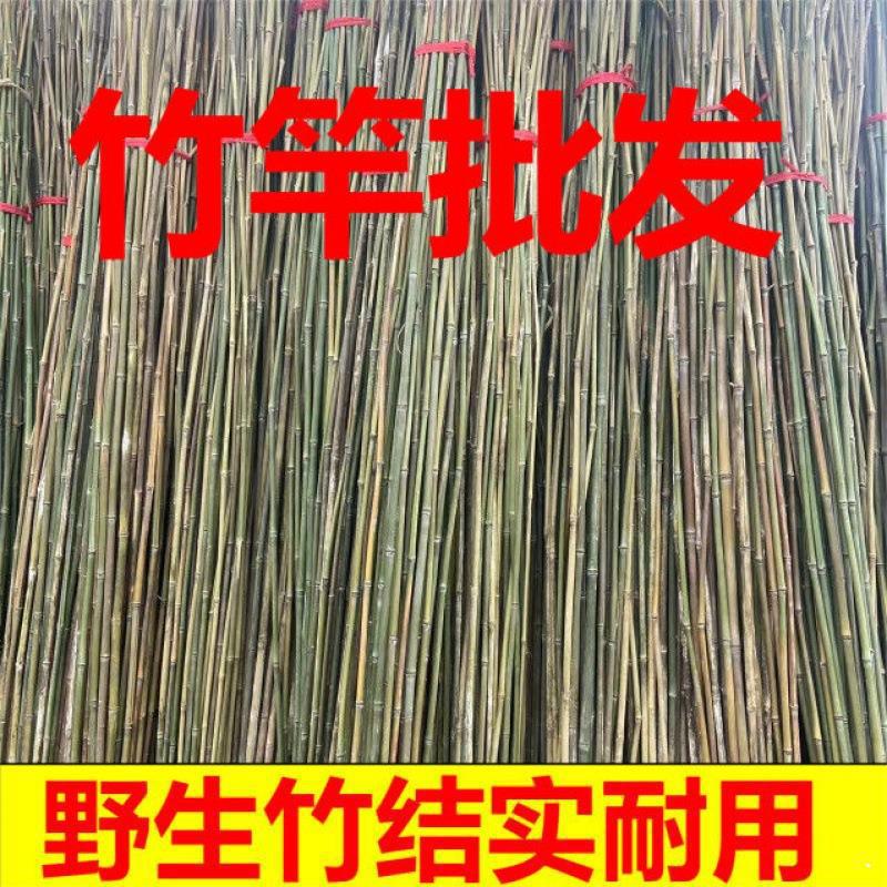菜园搭架竹竿豆角黄瓜爬藤架园艺篱笆围栏旗杆竹竿瓜果爬藤架支撑
