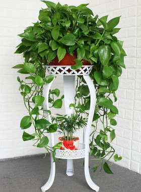 【加粗加厚】铁艺花架多层阳台卧室现代简约绿萝兰花盆架子